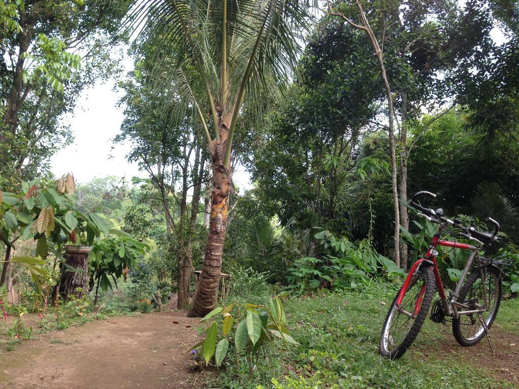 Dream Catcher Camp Hotel Tetebatu Exterior foto