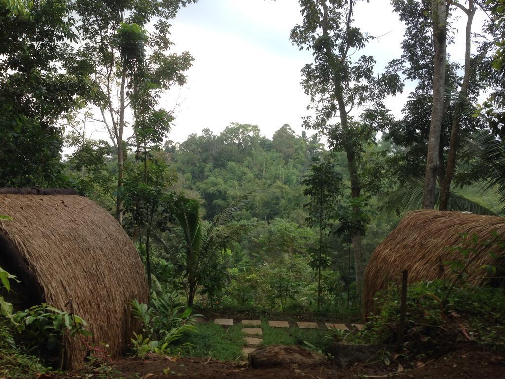 Dream Catcher Camp Hotel Tetebatu Exterior foto